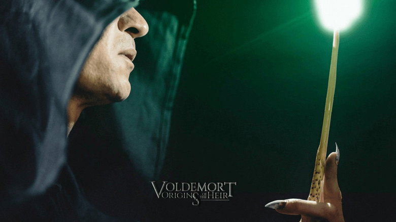 Voldemort: Origins of the Heir backdrop 9