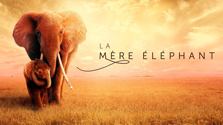 The Elephant Queen backdrop 1