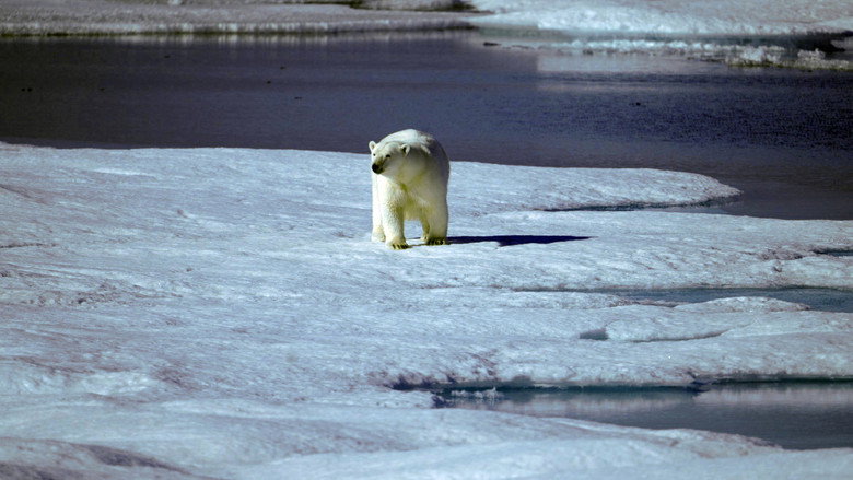 Race for the Arctic backdrop 2
