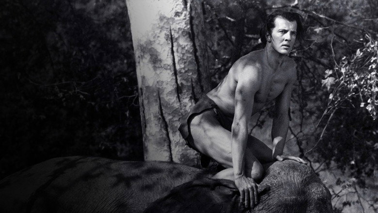 Tarzan and the Green Goddess backdrop 2