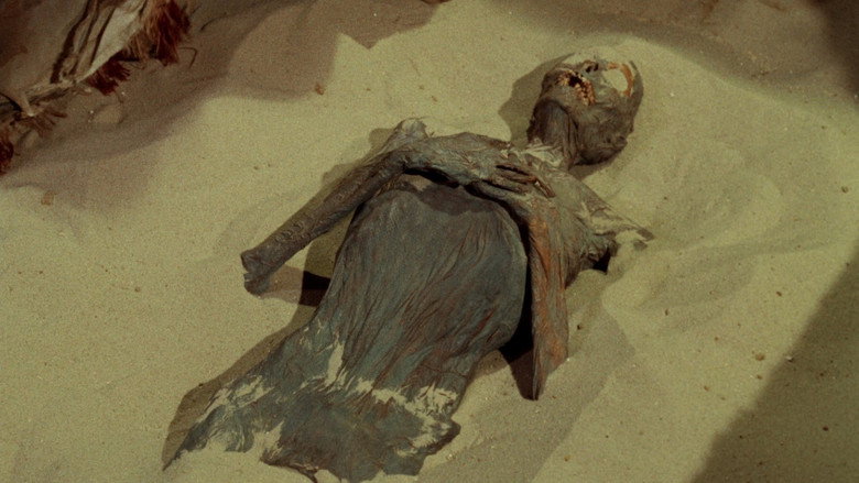The Mummy's Shroud backdrop 7