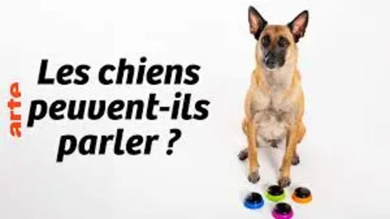 Can Dogs Talk? backdrop 1