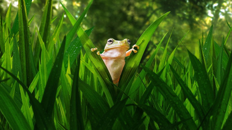 Tiny World backdrop 2