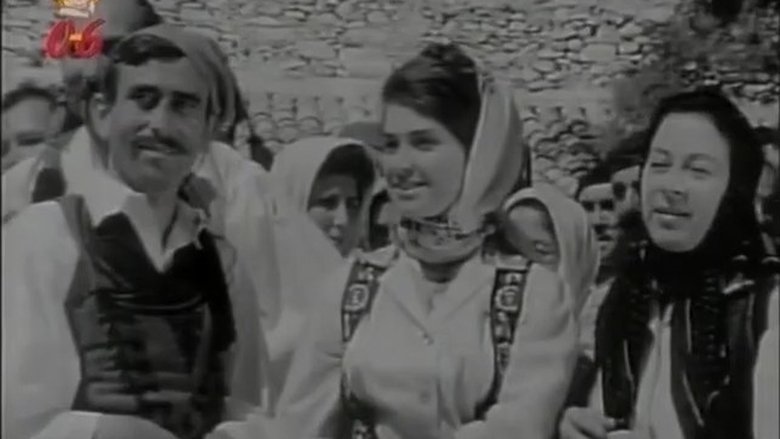 Dimitris Katsoulis