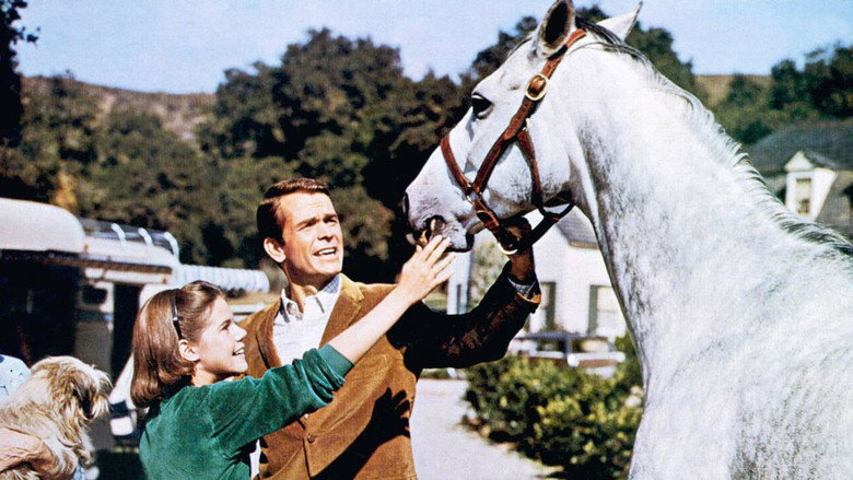 The Horse in the Gray Flannel Suit backdrop 4