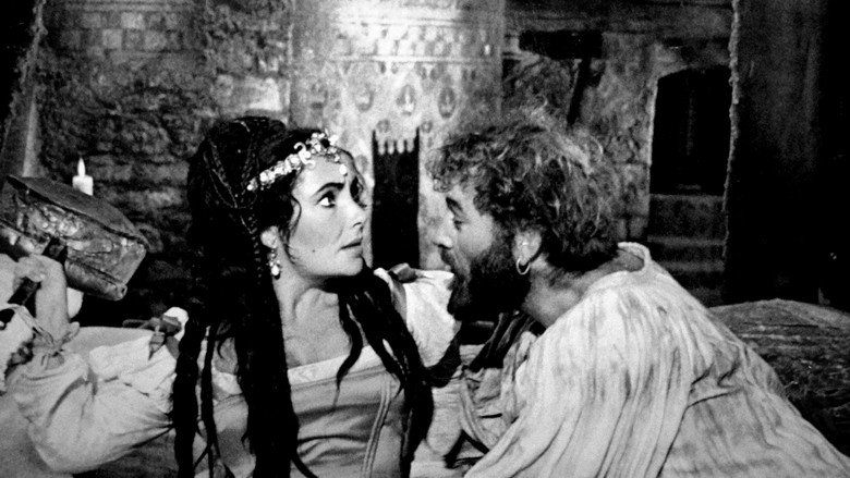 The Taming of the Shrew backdrop 8
