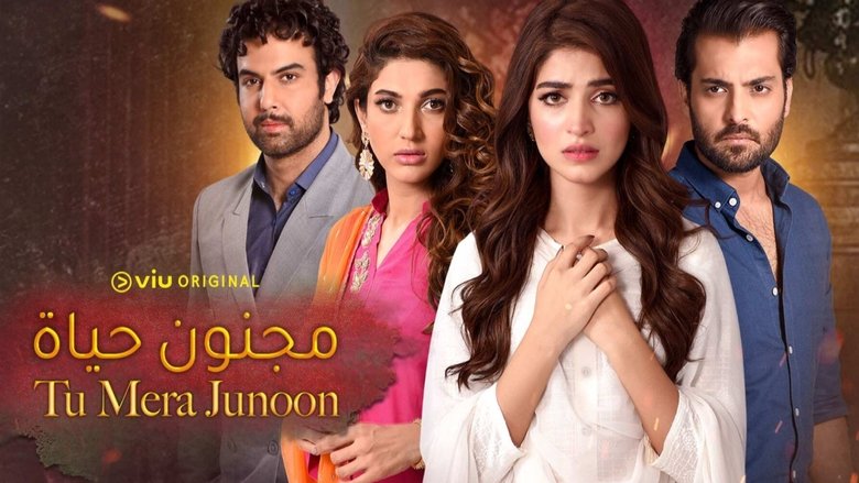 Tu Mera Junoon