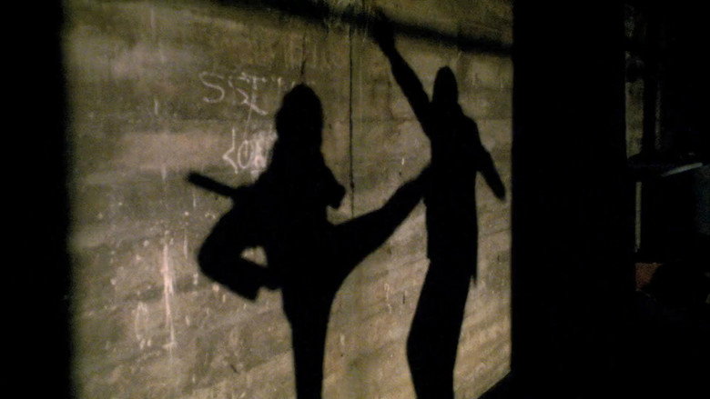 Ninja Cheerleaders backdrop 8