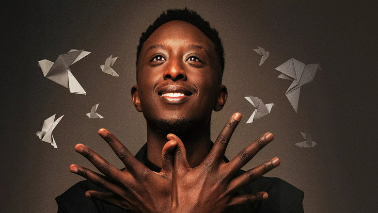 Ahmed Sylla - Origami backdrop 2