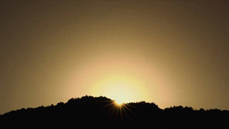 Twilight backdrop 4
