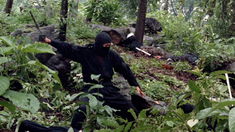 9 Deaths of the Ninja backdrop 5