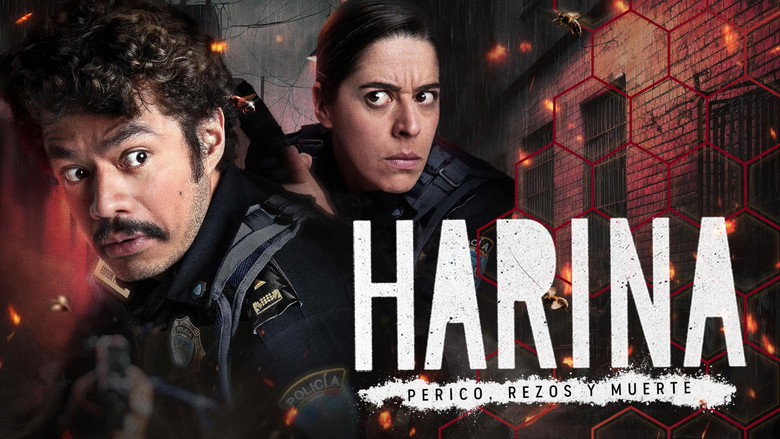 Harina backdrop 1