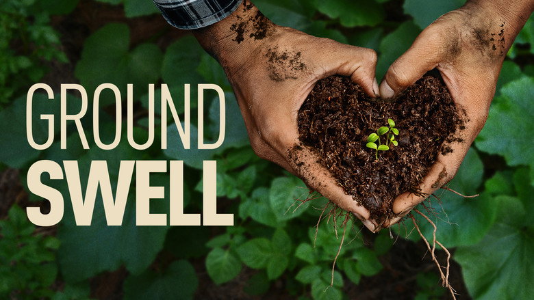 Groundswell backdrop 5