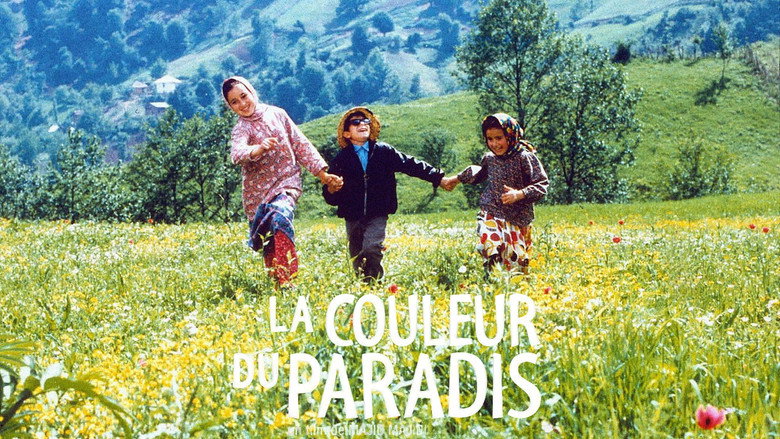 The Color of Paradise backdrop 5