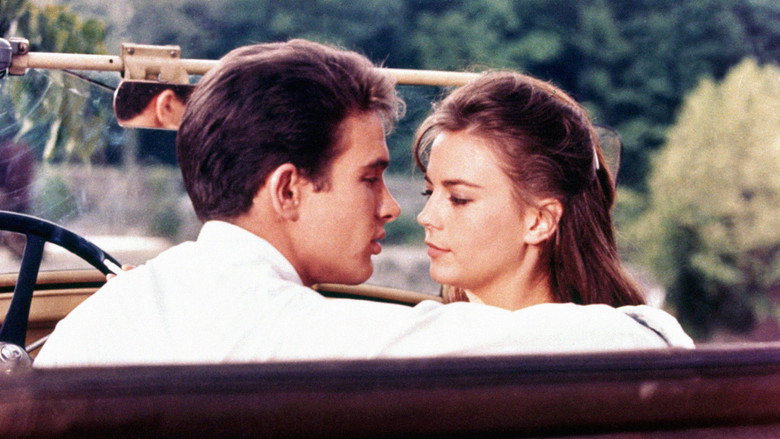 Splendor in the Grass backdrop 4