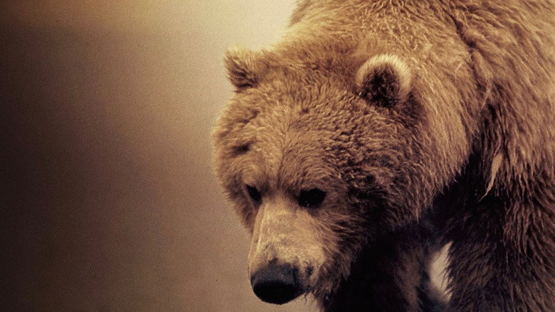 Diary of the Grizzly Man backdrop 1