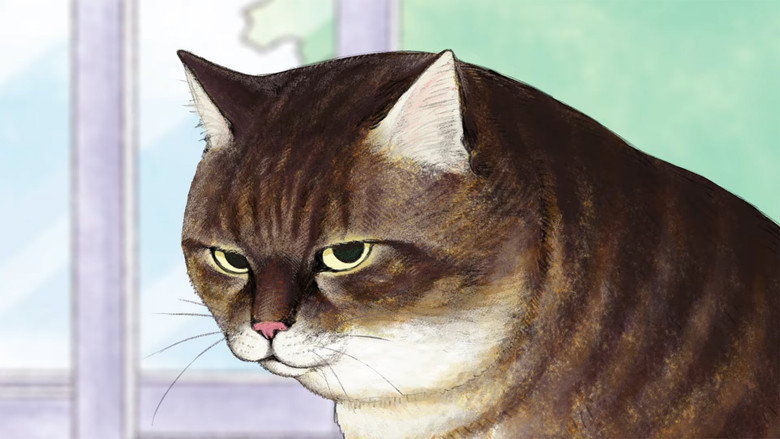 /gqmmhQBobjFWF2EKL4DboFkDE1u.jpg