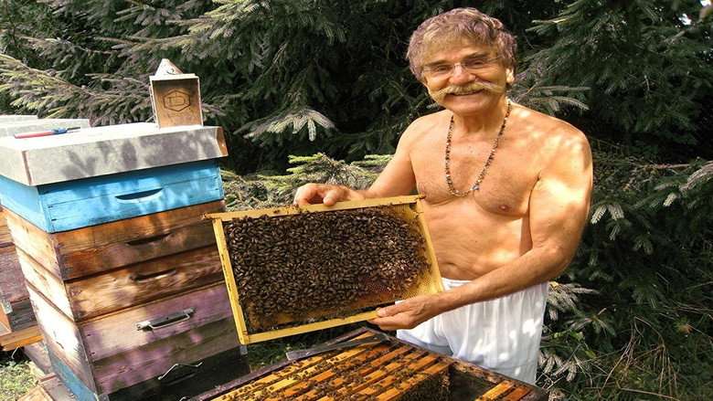 Queen of the Sun: What Are the Bees Telling Us?‎ backdrop 3