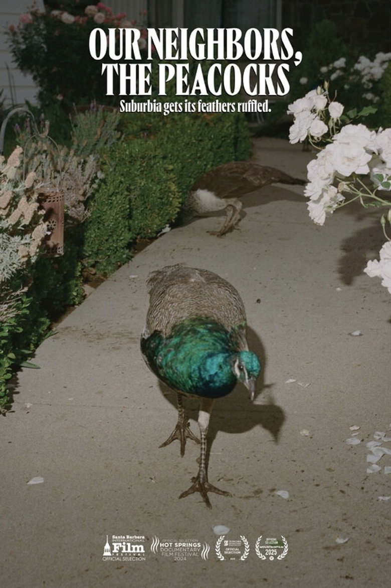 Our Neighbors, the Peacocks
