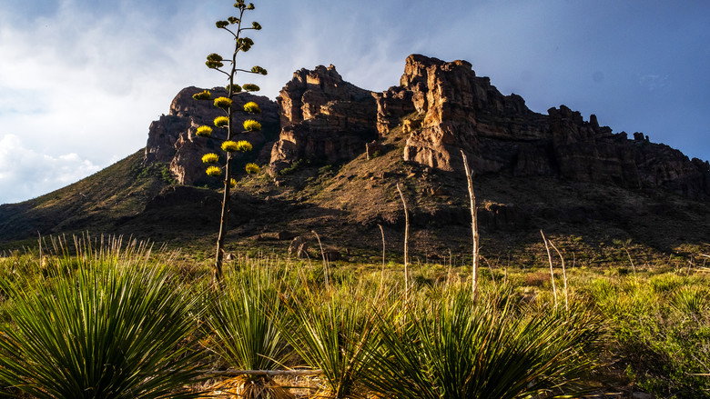 America's National Parks backdrop 8