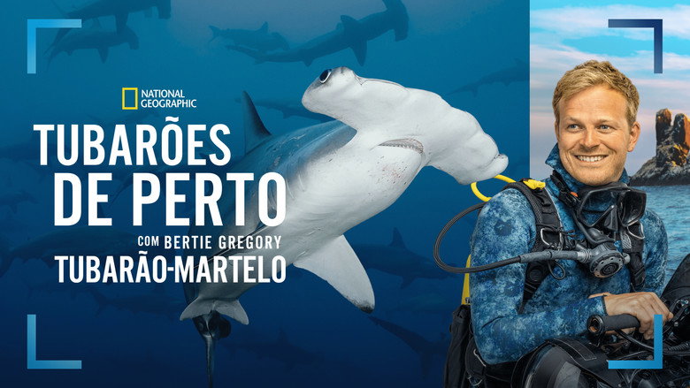 Hammerhead Sharks Up Close with Bertie Gregory backdrop 3