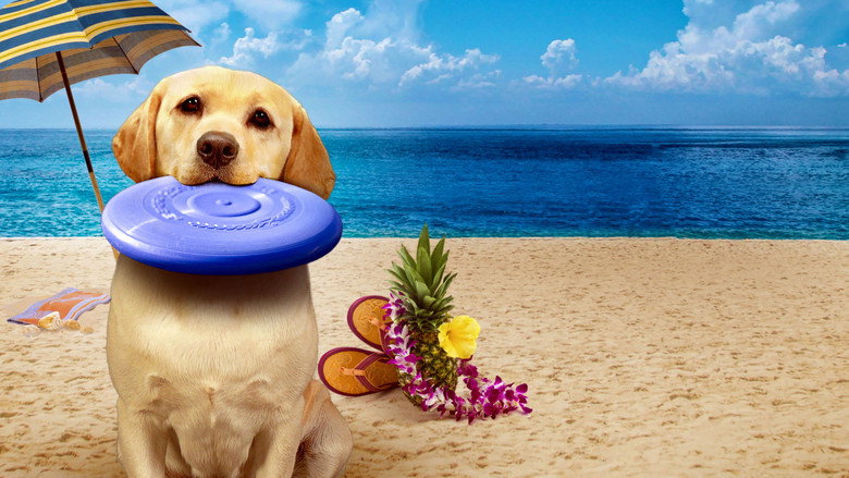 The Dog Who Saved Summer backdrop 2