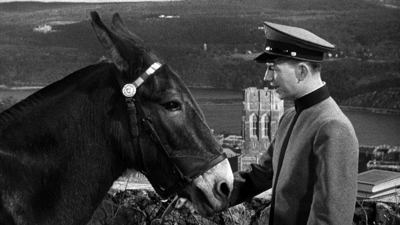 Francis Goes to West Point backdrop 5