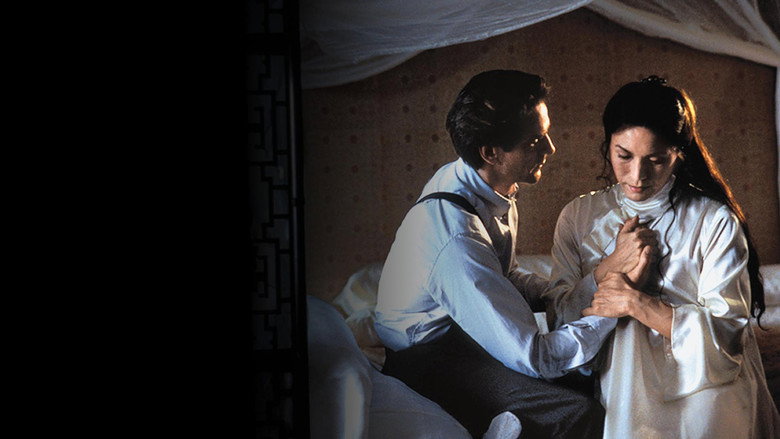 M. Butterfly backdrop 6