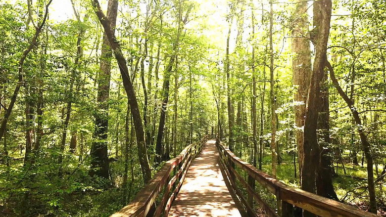 Congaree National Park