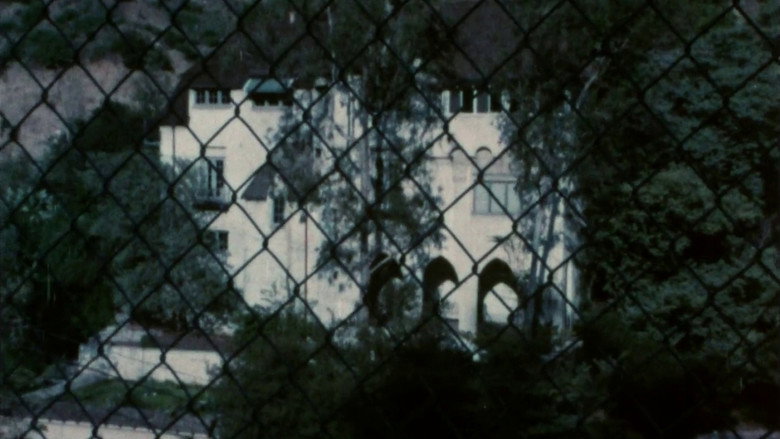 Mania backdrop 5