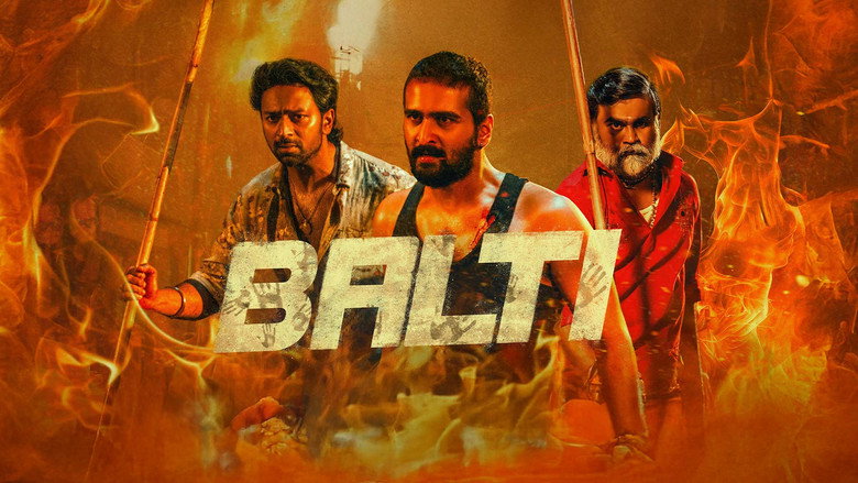 Balti backdrop 6