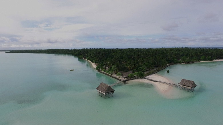 Anote's Ark backdrop 9