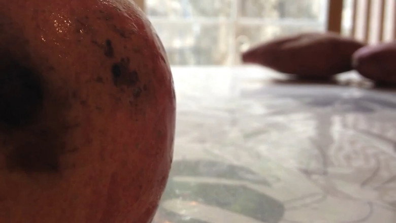 apple diseas