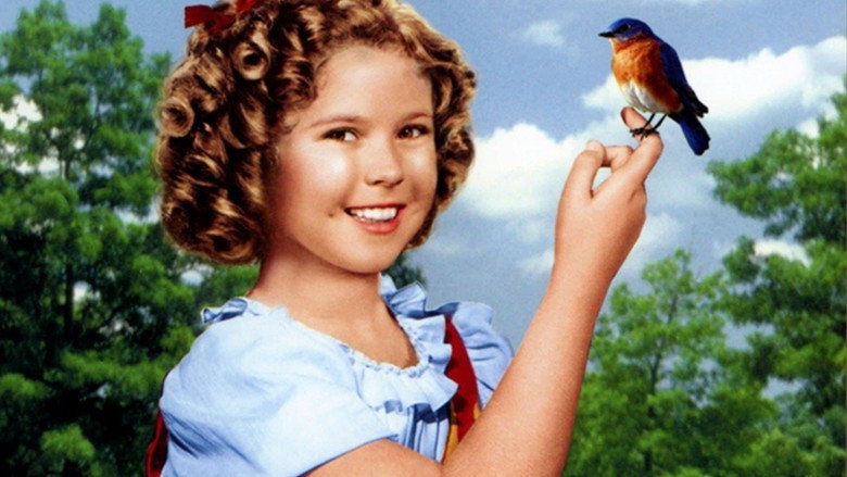 The Blue Bird backdrop 5