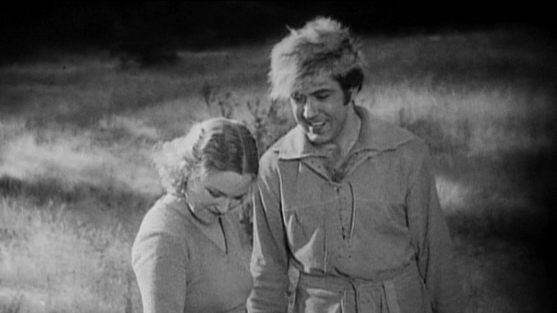 The Great Meadow backdrop 7