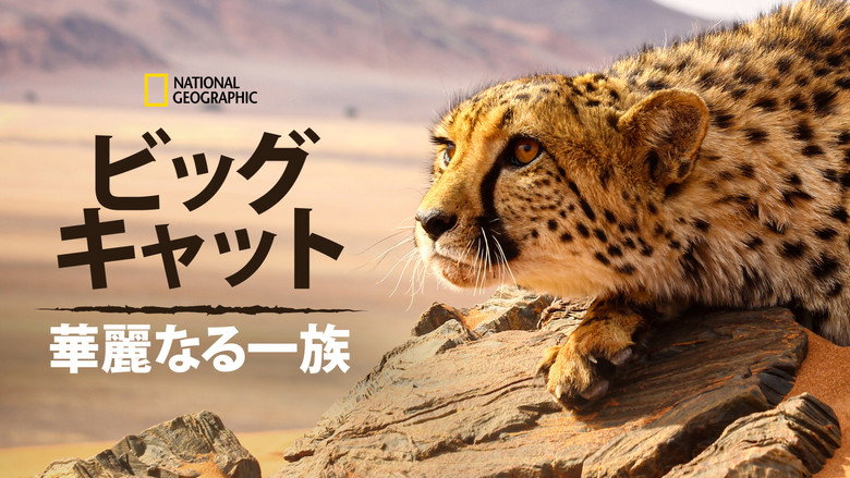 Big Cats: An Amazing Animal Family backdrop 9