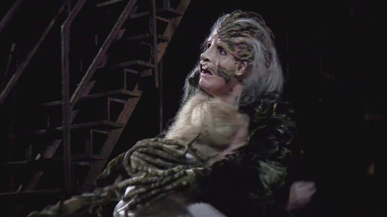 Into the Woods backdrop 2