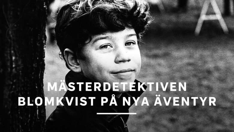 Mästerdetektiven Blomkvist på nya äventyr backdrop 2