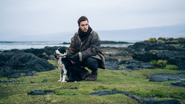 Shepherd backdrop 5