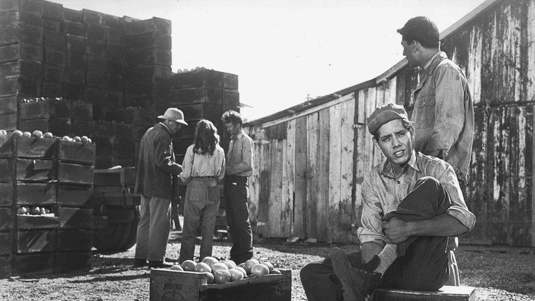 The Lawless backdrop 4