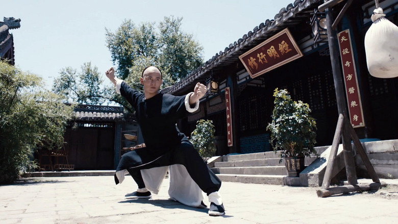 Master Of The Shadowless Kick: Wong Kei-Ying backdrop 5