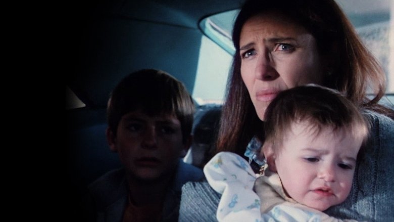 In the Blink of an Eye