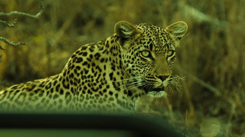 10 Days South Africa