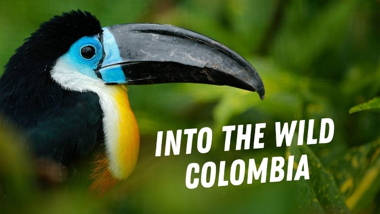 Into the Wild: Colombia