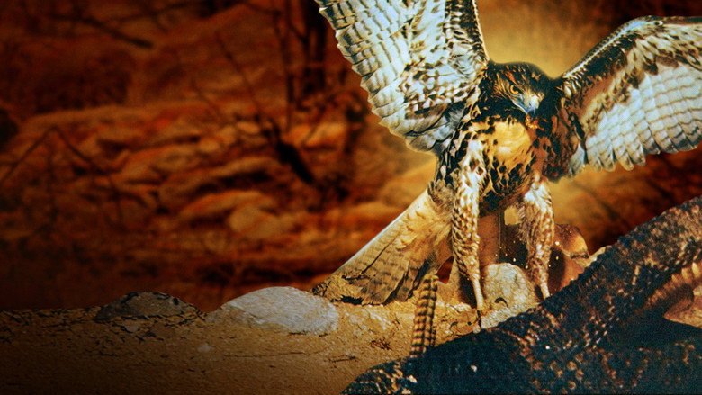 The Living Desert backdrop 4
