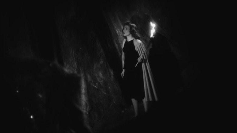 The Bride of Darkness backdrop 4