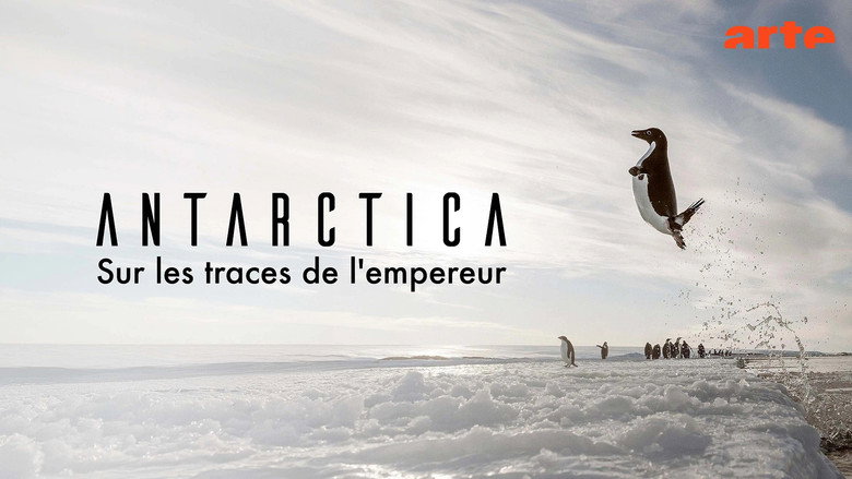 Antarctica, in the footsteps of the Emperor backdrop 9