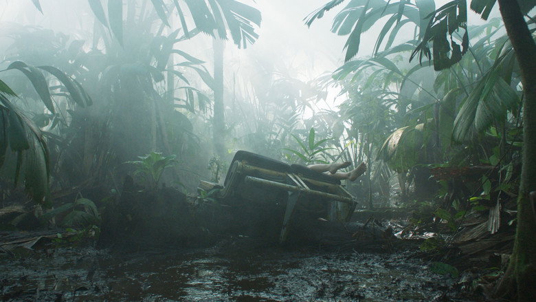 Transamazonia backdrop 2
