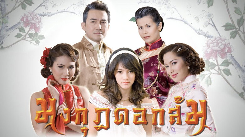 มงกุฎดอกส้ม backdrop 3