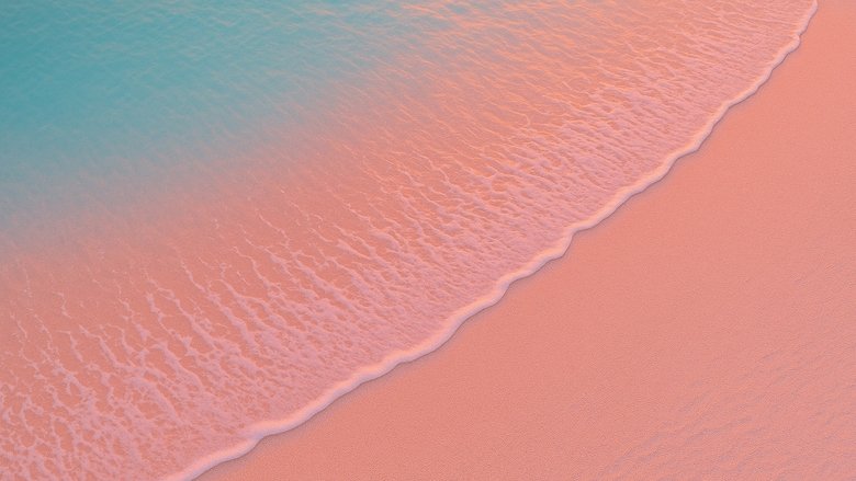 Where the Beach Breathes